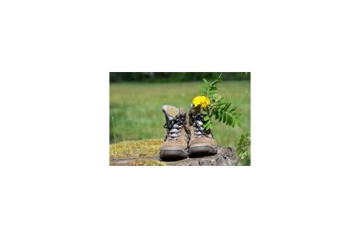 Une paire de chaussures de marche. Une fleur jaune est plantée dans une des chaussures