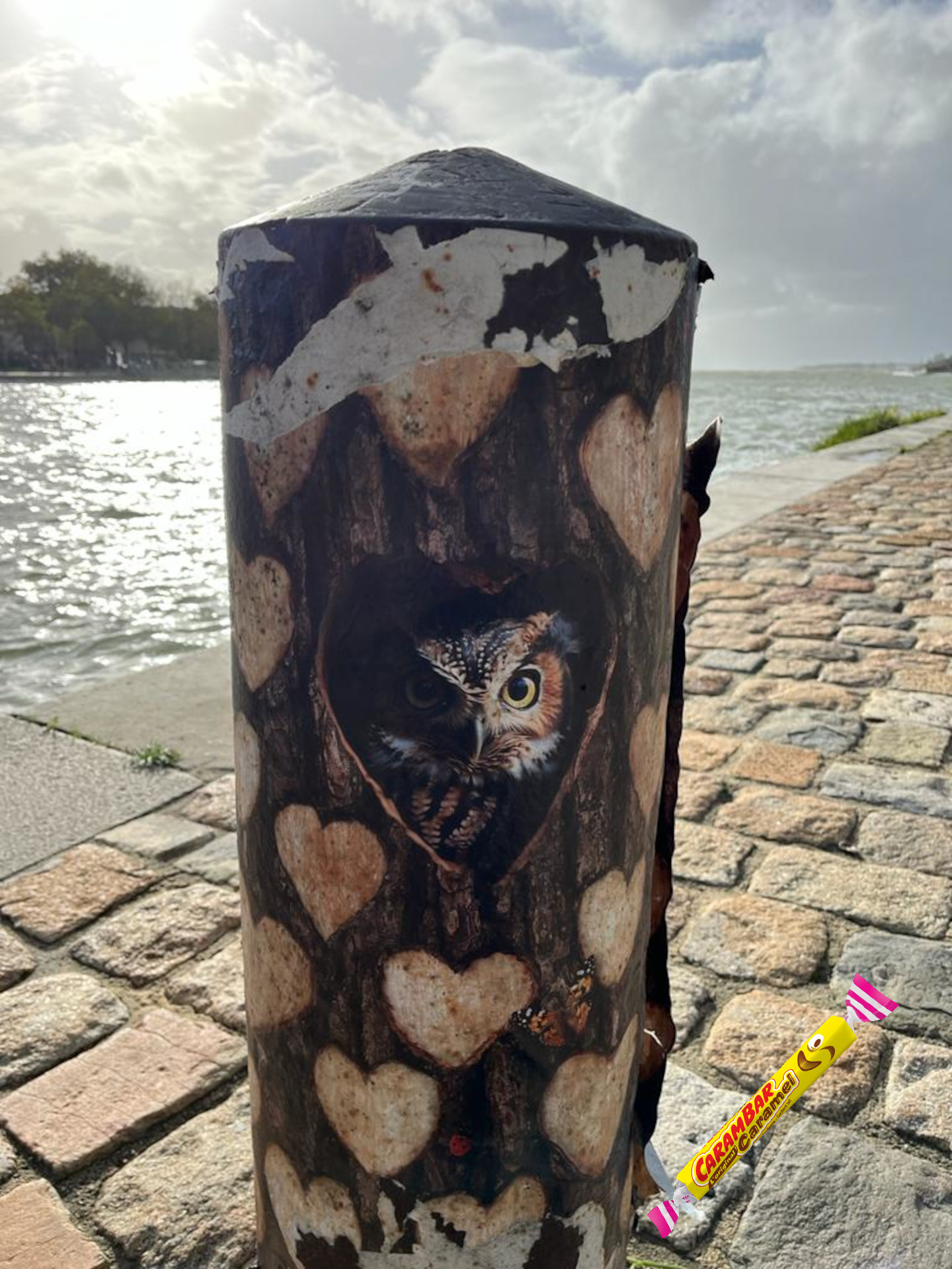 Photo classée 3ème - Bernardi RAKOTOMANGA (DDT)