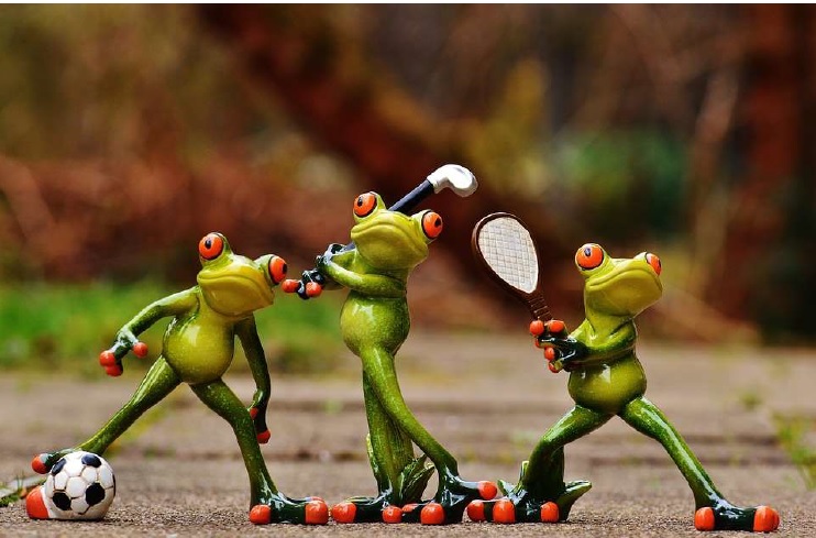 image de grenouilles sportifs