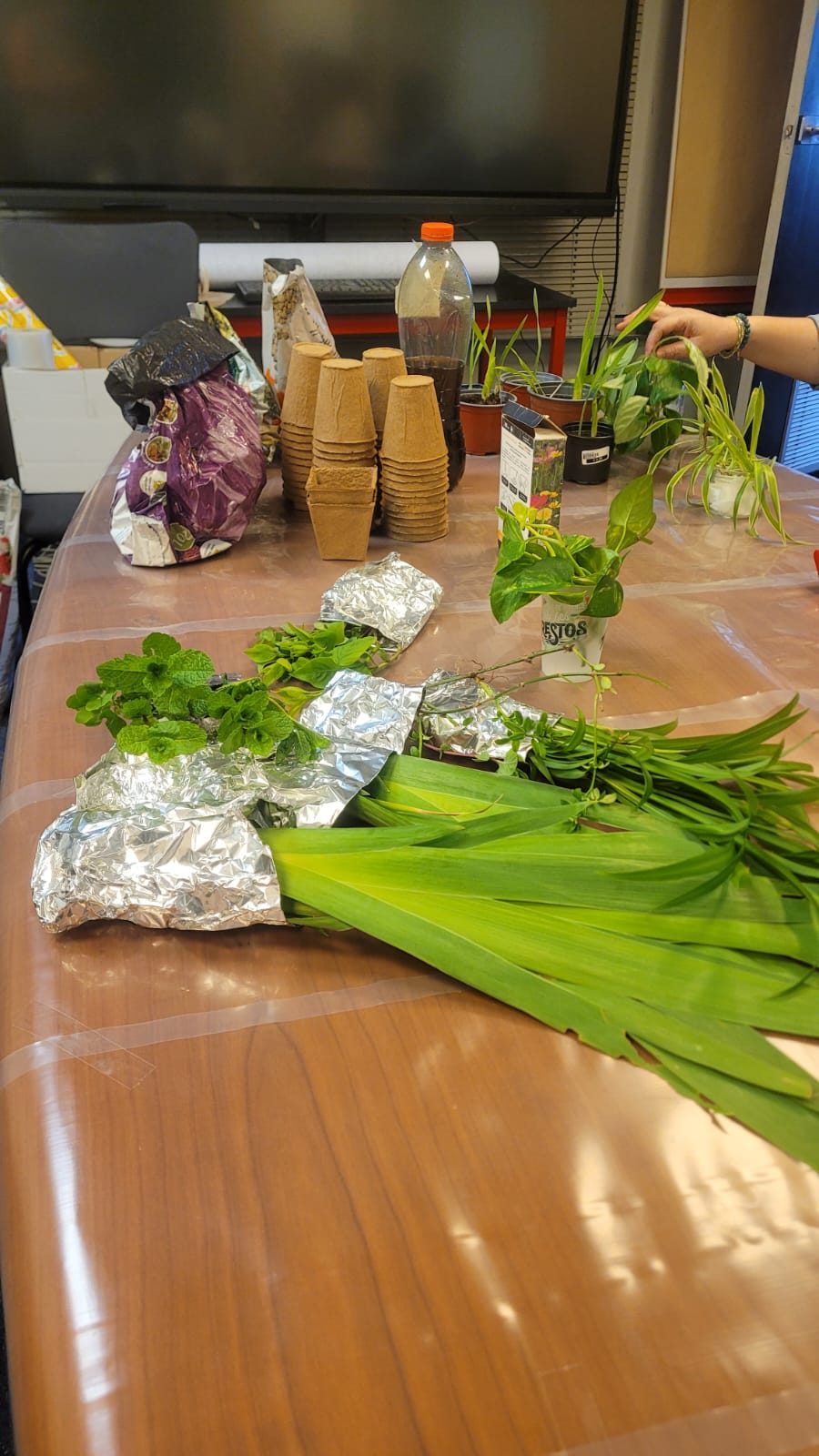 Image 2 : photo 2026 03 31 14 08 22