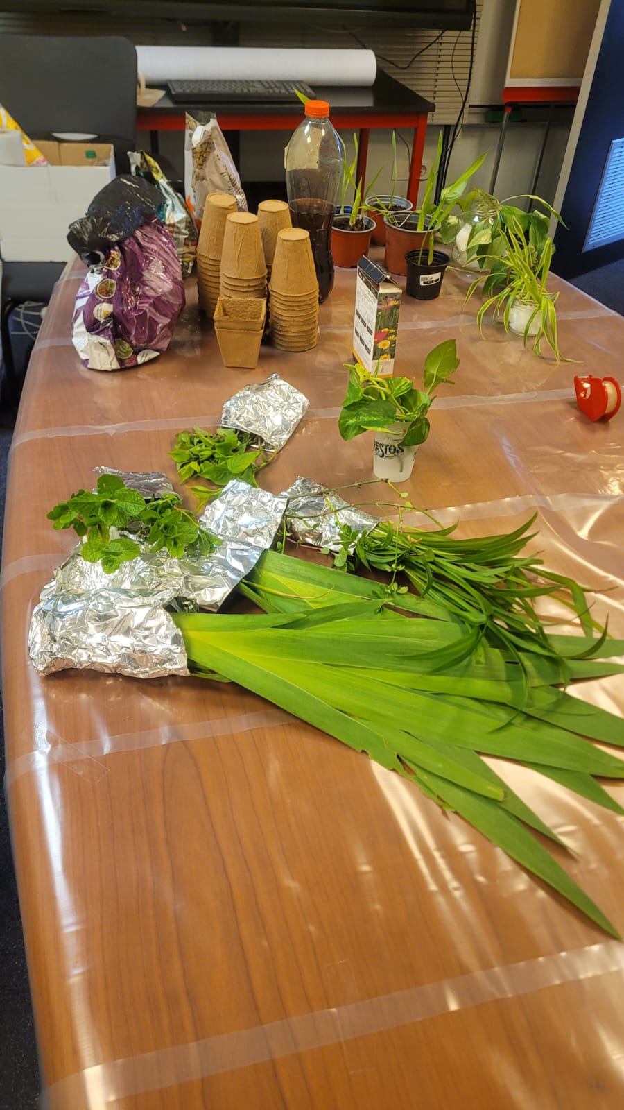 Image 3 : photo 2026 03 31 14 08 22 2 