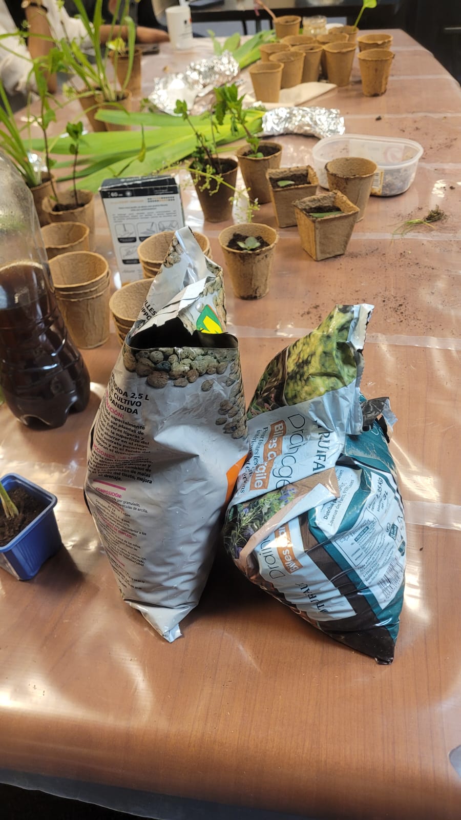 Image 4 : photo 2026 03 31 14 08 22 3 