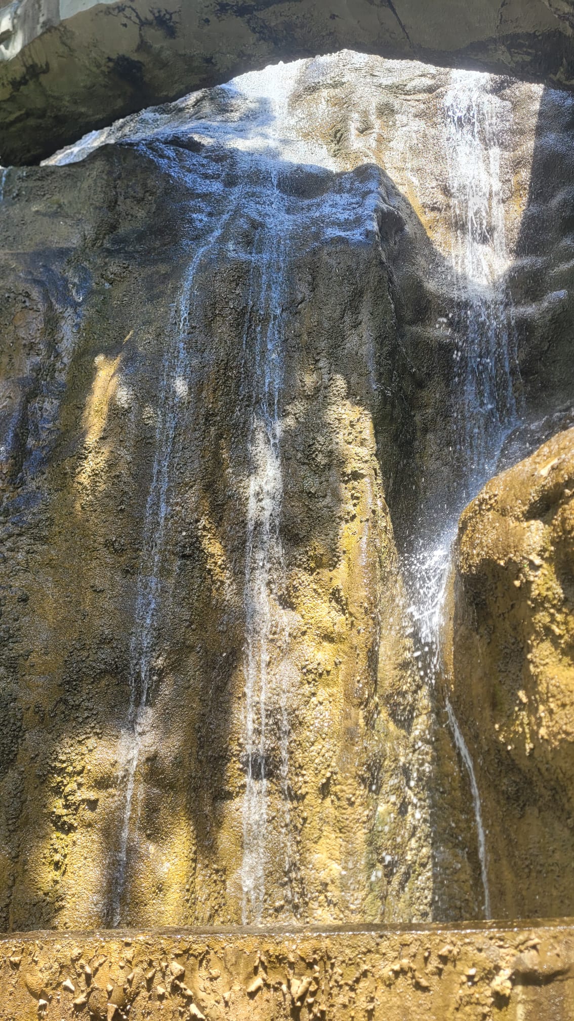 Image 12 : photo 2026 06 29 10 39 37 6 