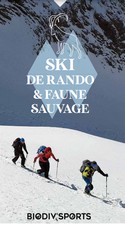 skiderando  (nouvelle fenetre)