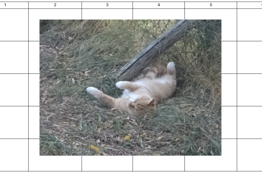 À bon chat bon rat