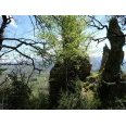 Lien vers image en grand format (nouvelle fenêtre)