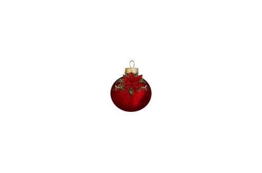 logo_noel