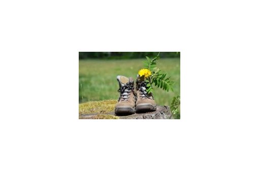logo Une paire de chaussures de marche. Une fleur jaune est plantée dans une des chaussures