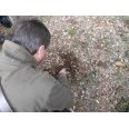 Lien vers image en grand format (nouvelle fenêtre)