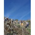 Lien vers image en grand format (nouvelle fenêtre)