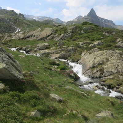 Lien vers image en grand format (nouvelle fenêtre)