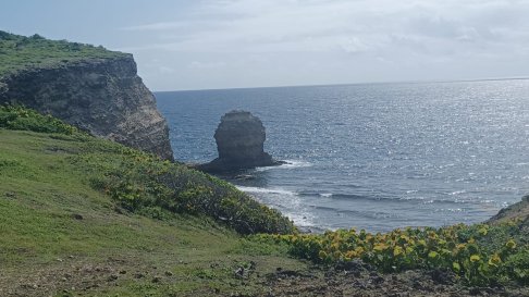 Lien vers image en grand format (nouvelle fenêtre)