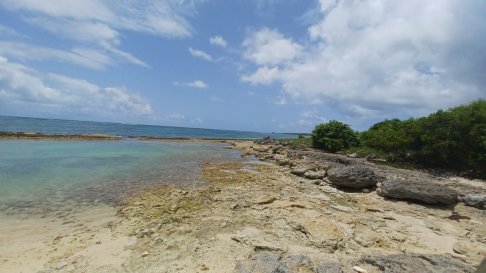 Lien vers image en grand format (nouvelle fenêtre)