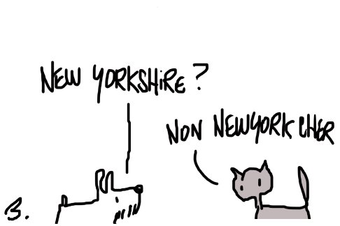 Lien vers image en grand format (nouvelle fenêtre)