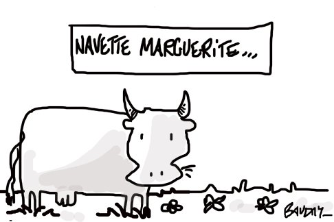 Lien vers image en grand format (nouvelle fenêtre)