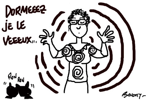 Lien vers image en grand format (nouvelle fenêtre)