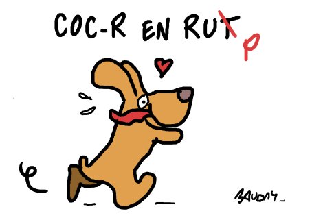 Lien vers image en grand format (nouvelle fenêtre)