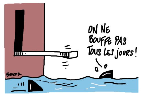 Lien vers image en grand format (nouvelle fenêtre)