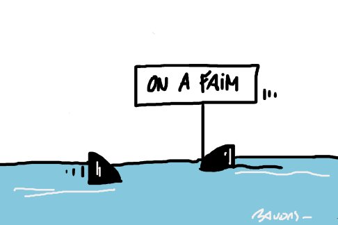 Lien vers image en grand format (nouvelle fenêtre)