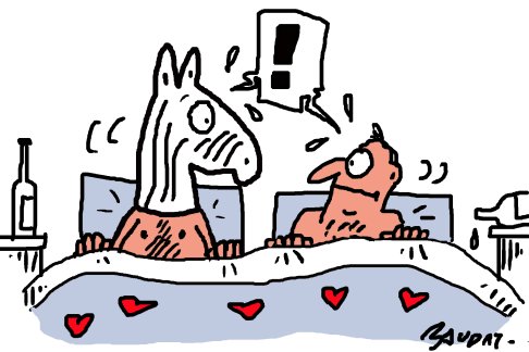 Lien vers image en grand format (nouvelle fenêtre)