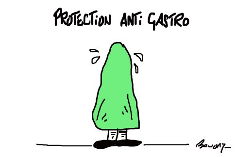 Lien vers image en grand format (nouvelle fenêtre)
