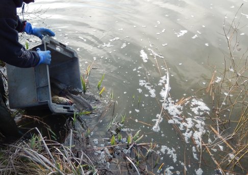 Lien vers image en grand format (nouvelle fenêtre)