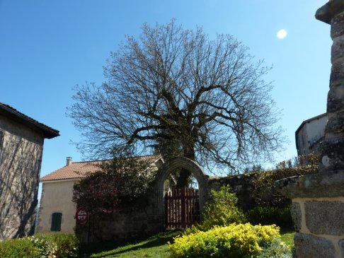 Lien vers image en grand format (nouvelle fenêtre)