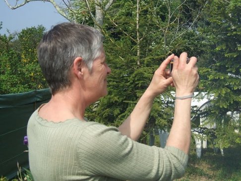 Lien vers image en grand format (nouvelle fenêtre)