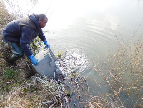 Lien vers image en grand format (nouvelle fenêtre)