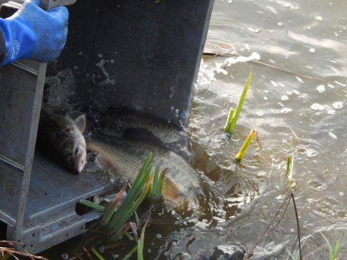 Lien vers image en grand format (nouvelle fenêtre)