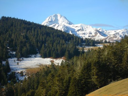 Lien vers image en grand format (nouvelle fenêtre)