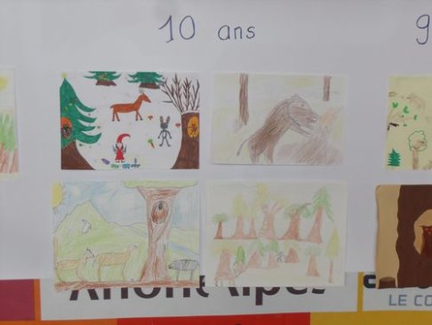 Lien vers image en grand format (nouvelle fenêtre)