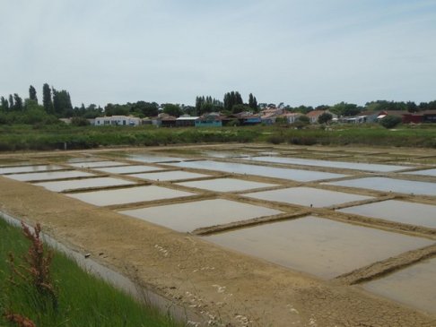Lien vers image en grand format (nouvelle fenêtre)