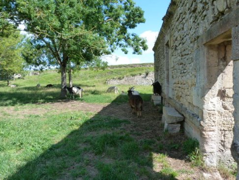 Lien vers image en grand format (nouvelle fenêtre)