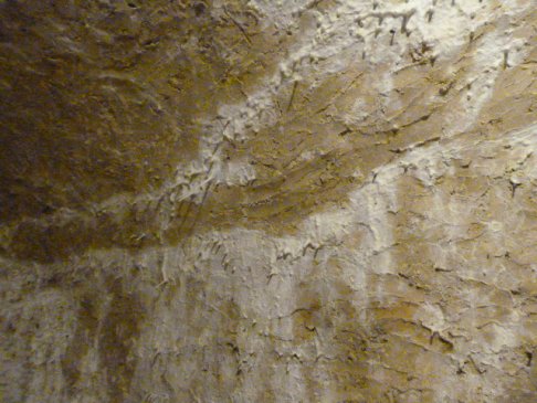 Lien vers image en grand format (nouvelle fenêtre)